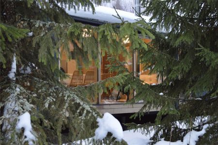 Дом 5-местный (Звездный дом)