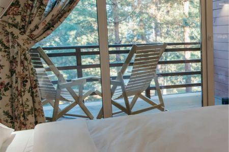 Номер 1-комнатный (Пион в доме Цветов)