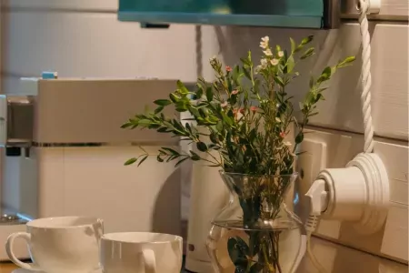 Номер 1-комнатный (Пион в доме Цветов)