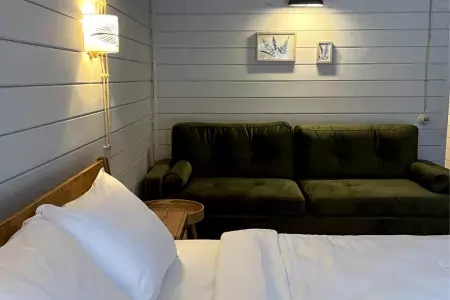 Номер 1-комнатный (Лютик в доме Цветов)