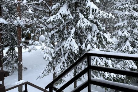 Номер 1-комнатный (Пион в доме Цветов)