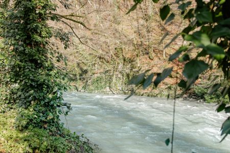 Территория, рядом