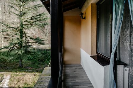 Внешний вид