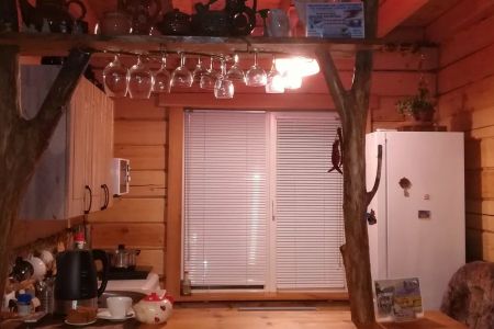 Внешний вид