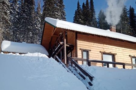 Внешний вид