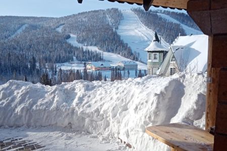 Внешний вид