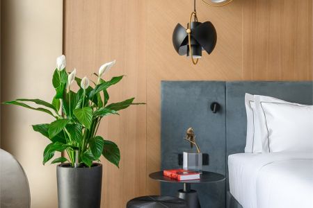 Superior 2-местный (вид во двор)