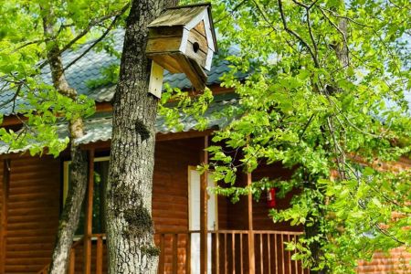 Территория