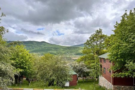 Территория