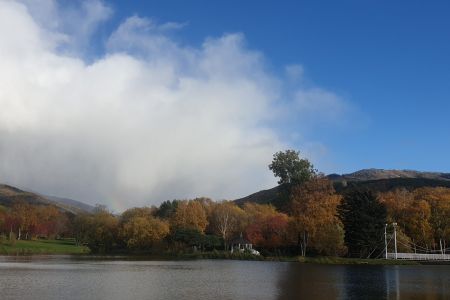 Территория