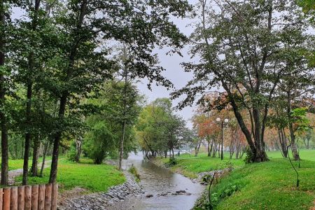 Внешний вид