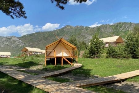 Внешний вид