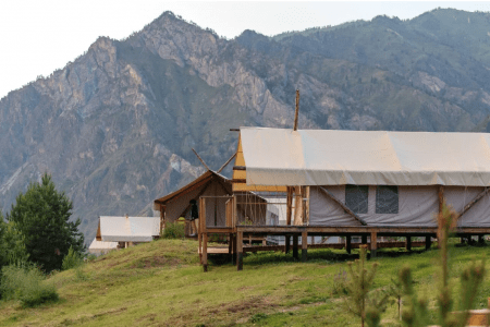 Внешний вид