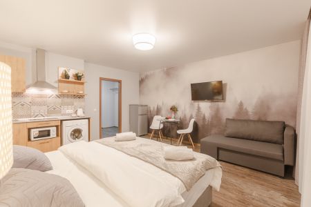 Люкс 2-местный