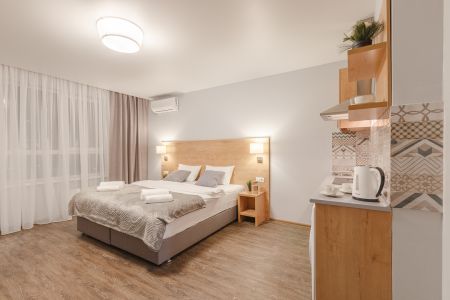 Люкс 2-местный