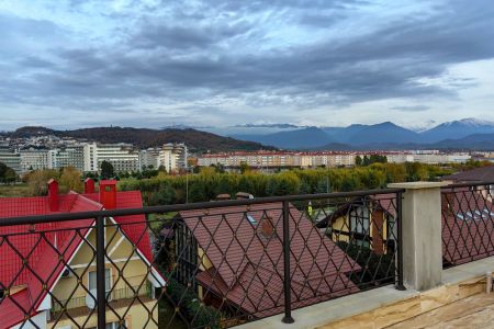 Внешний вид