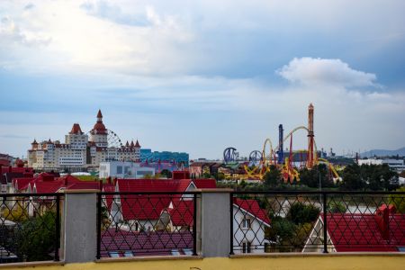 Внешний вид