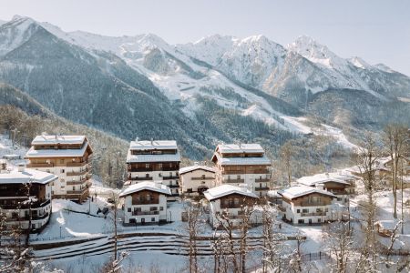 Внешний вид