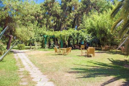 Территория