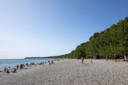 Шведский стол