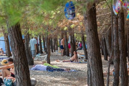 Шведский стол