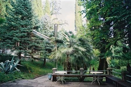 Внешний вид