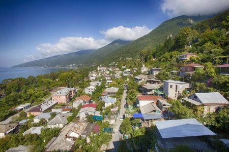 Внешний вид