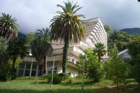 Внешний вид