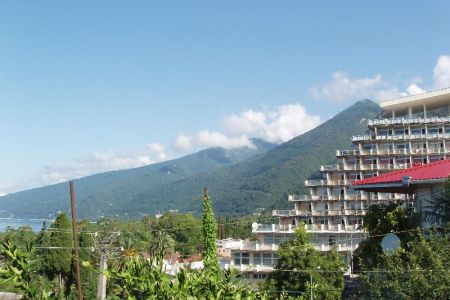 Внешний вид