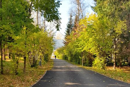 Внешний вид