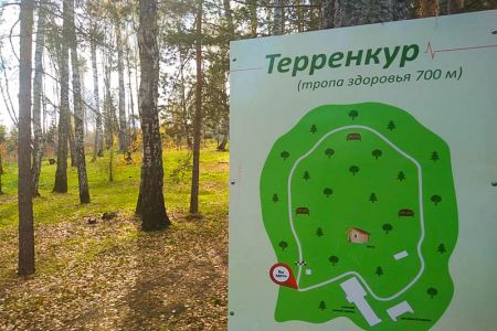 Внешний вид