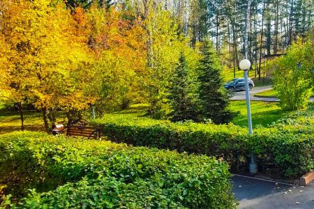 Внешний вид