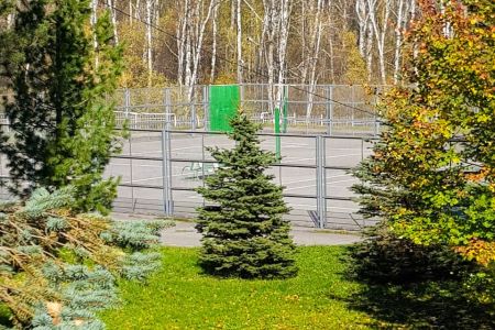 Внешний вид