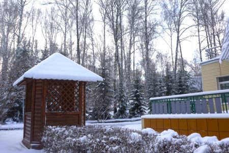 Внешний вид