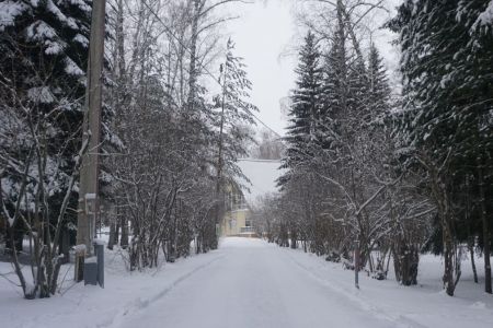 Территория. Зима