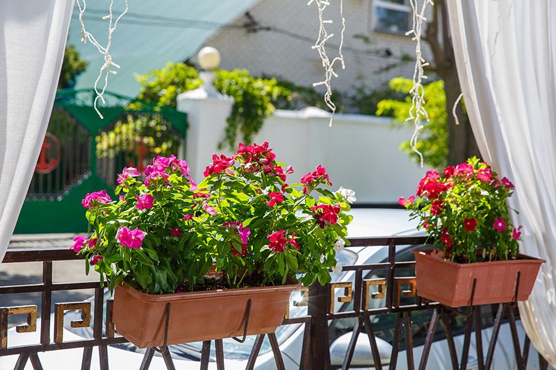 Территория