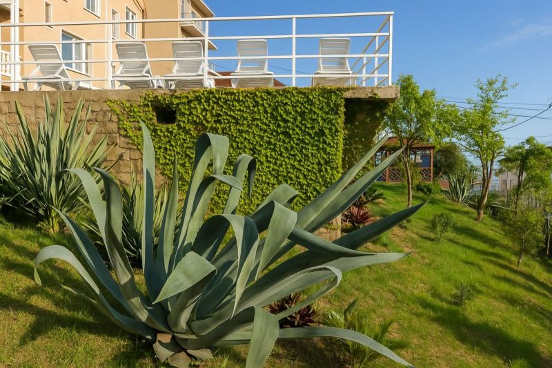 Территория