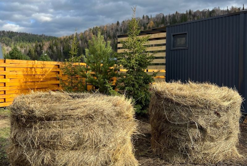 Территория