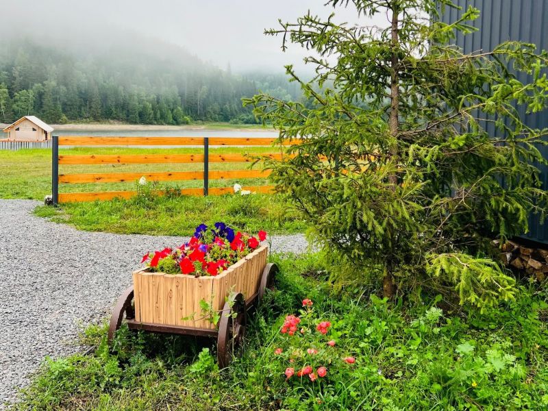 Территория