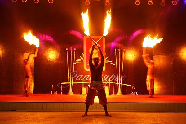 Шоу-программы