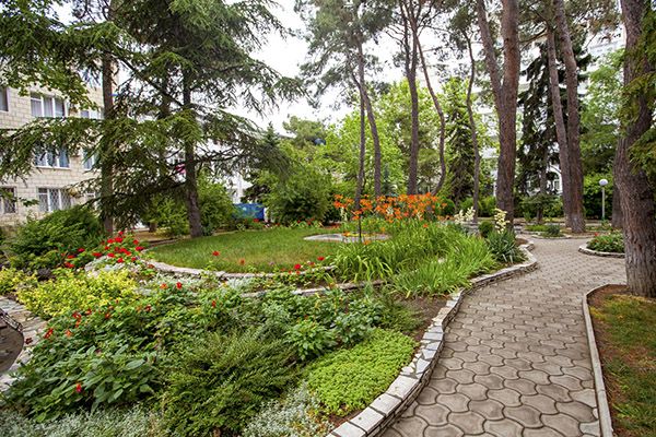 Территория