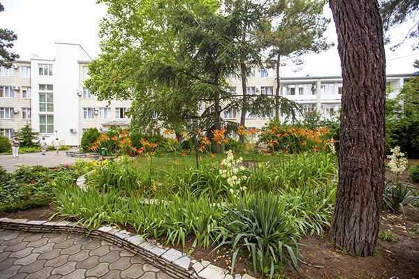 Территория