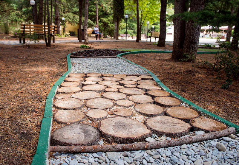 тропа здоровья