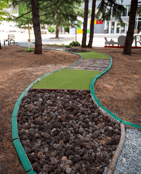 тропа здоровья