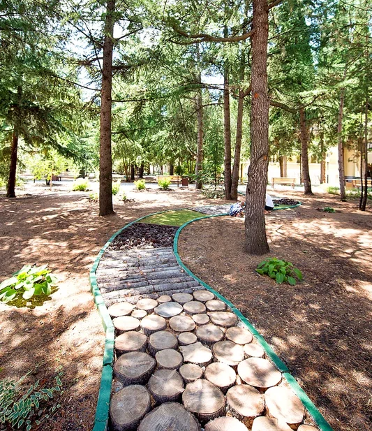 тропа здоровья