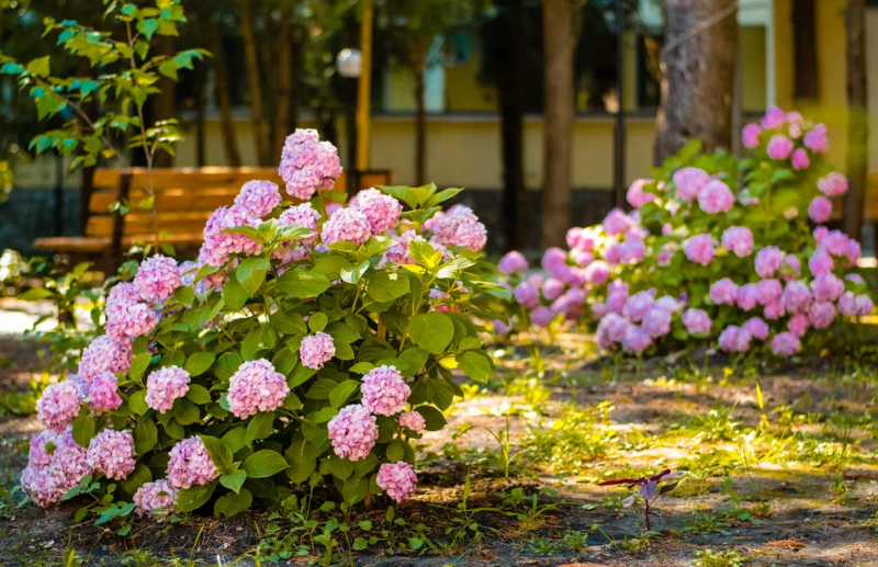 парковая зона