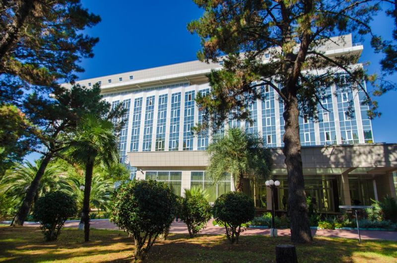 Внешний вид