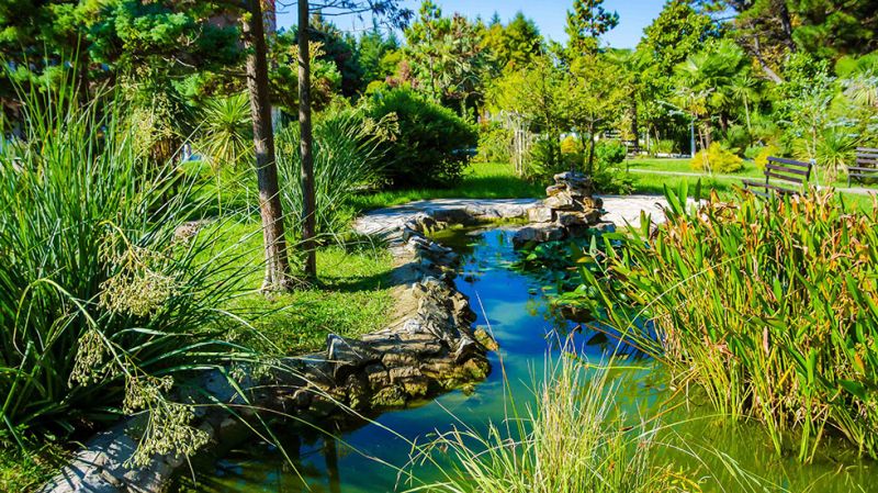 Территория