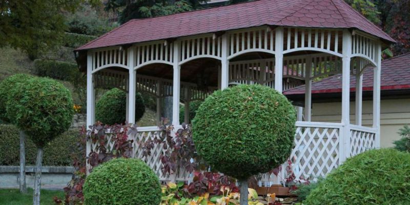 Территория