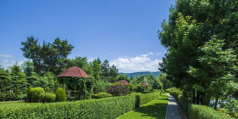 Территория